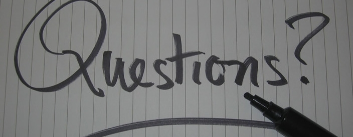 Need A Website Designer For Your Business?